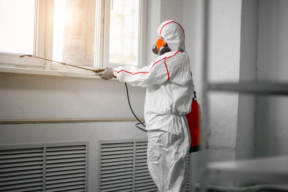 Professional mold remediation services in Kiel, WI